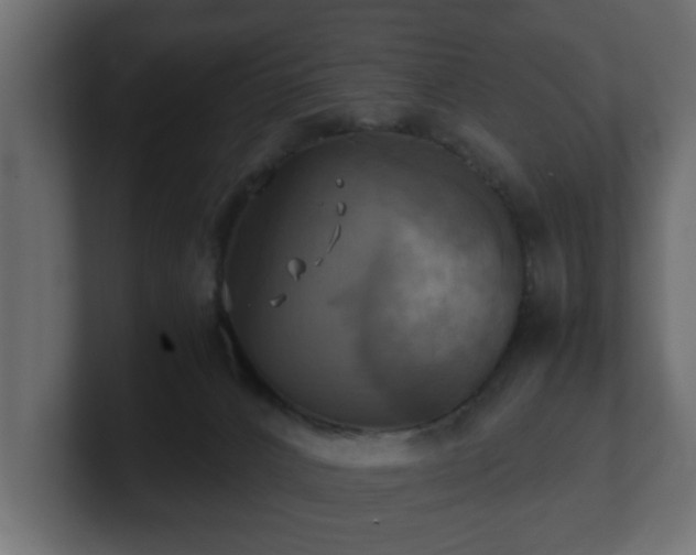 X0000100760032200806261614