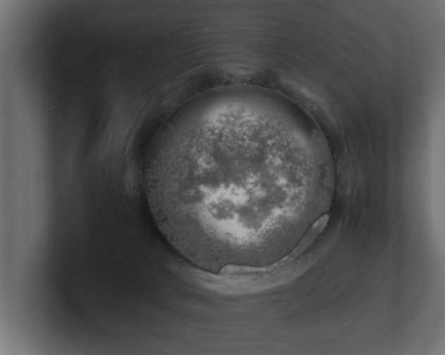 X0000100760034200806261614