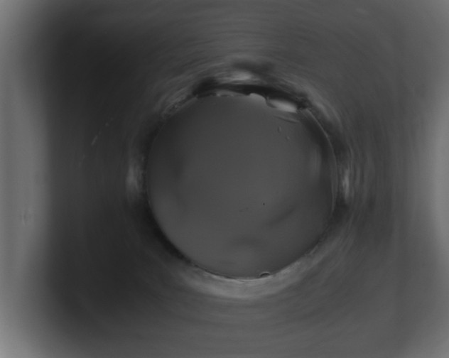 X0000100760035200806261614