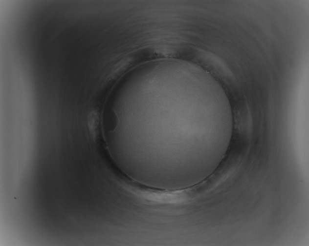 X0000100760036200806261614