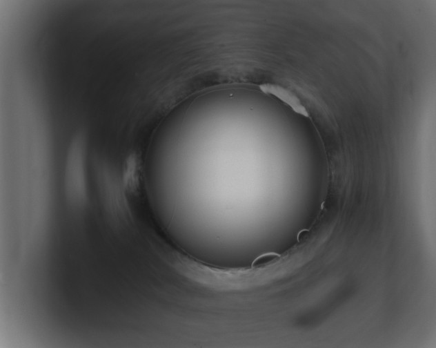 X0000100760038200806261614