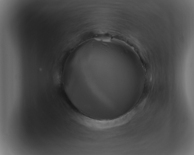 X0000100760039200806261614