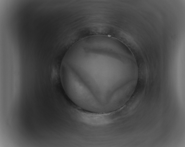 X0000100760040200806261614