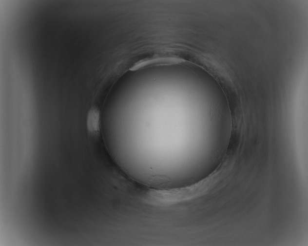 X0000100760041200806261614