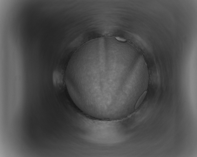 X0000100760044200806261614