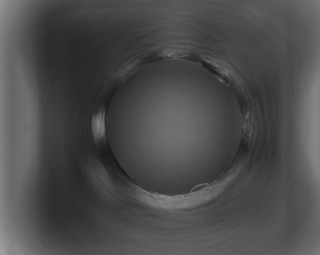 X0000100760046200806261614