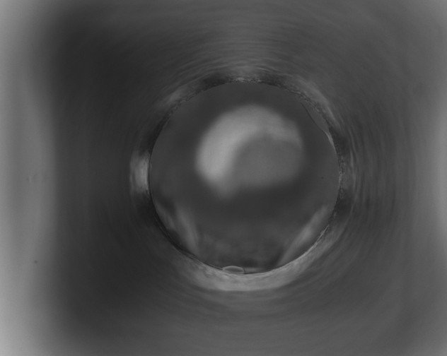 X0000100760047200806261614