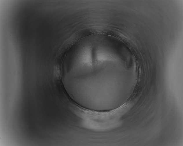 X0000100760048200806261614