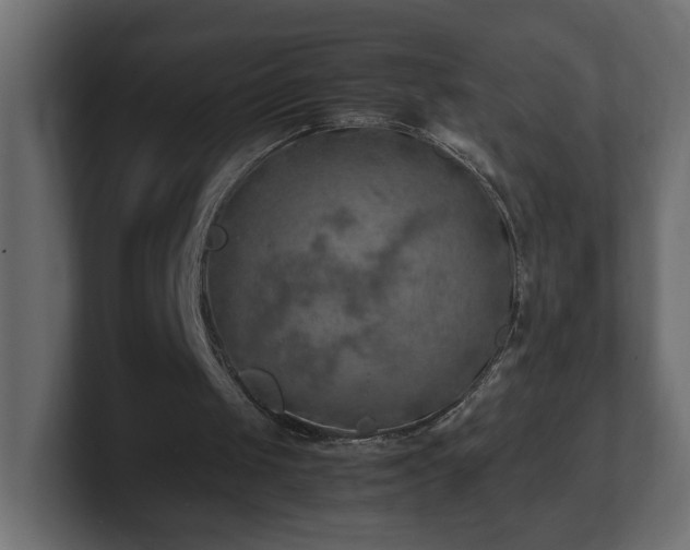 X0000100760049200806261613