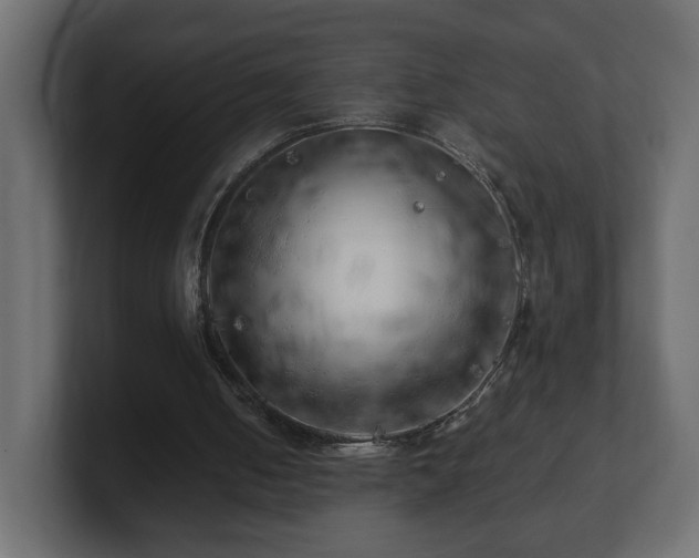 X0000100760050200806261613