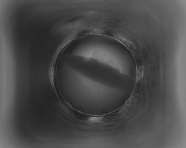 X0000100760051200806261613