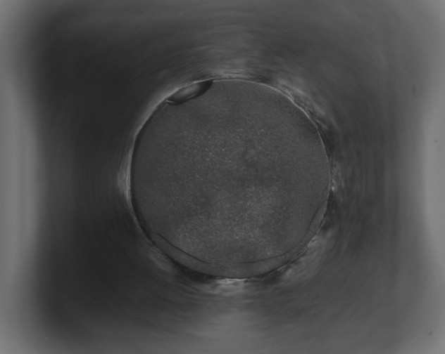 X0000100760052200806261613