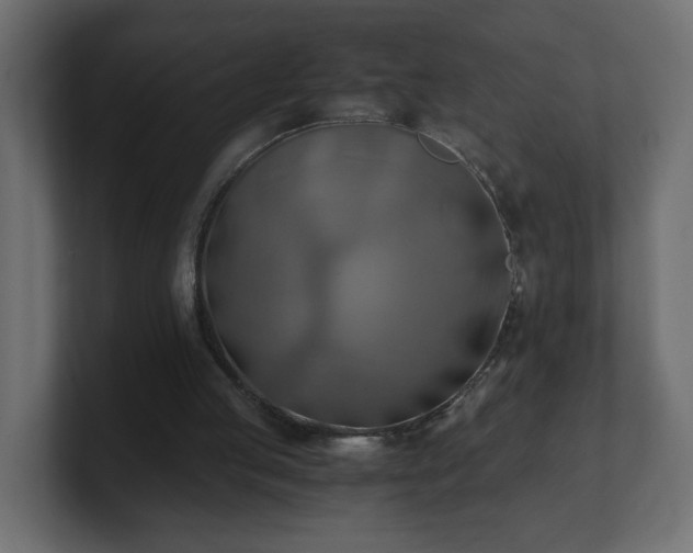 X0000100760053200806261613