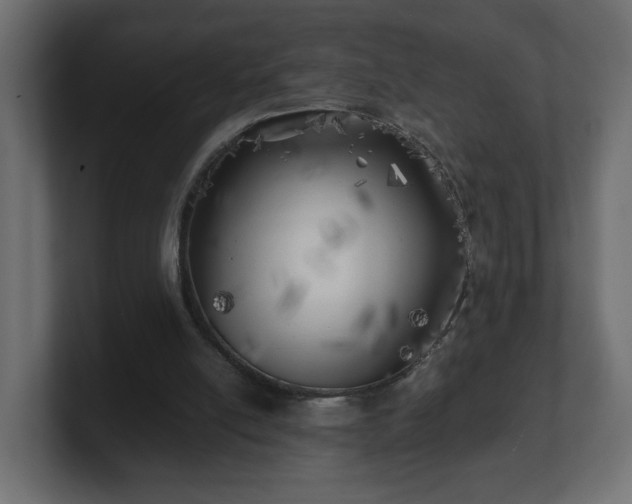 X0000100760054200806261613