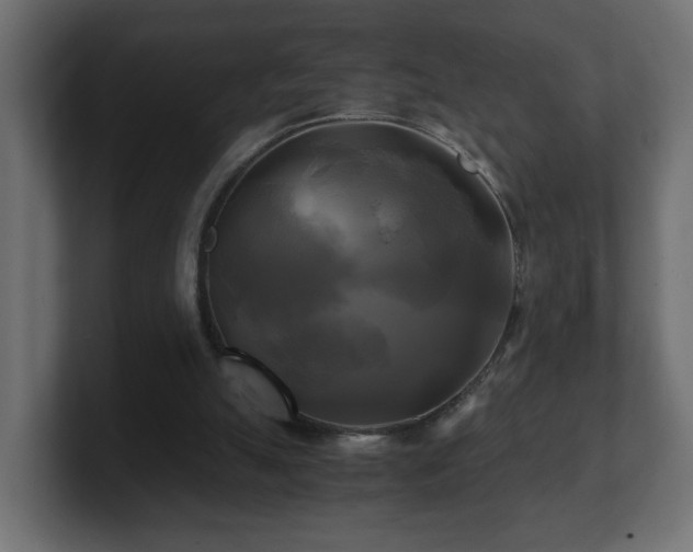 X0000100760055200806261613