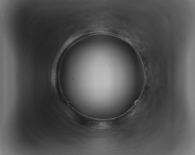 X0000100760056200806261613