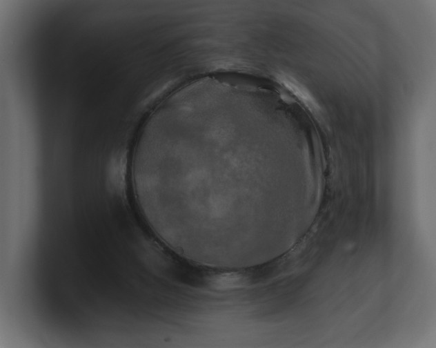 X0000100760058200806261613