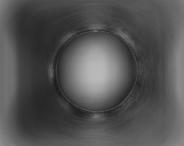 X0000100760060200806261613