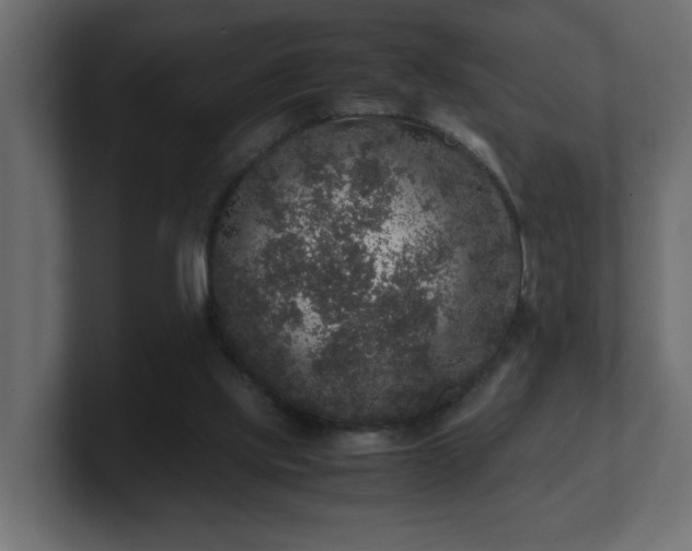 X0000100760061200806261613