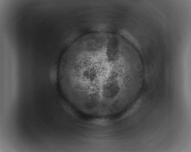 X0000100760065200806261613