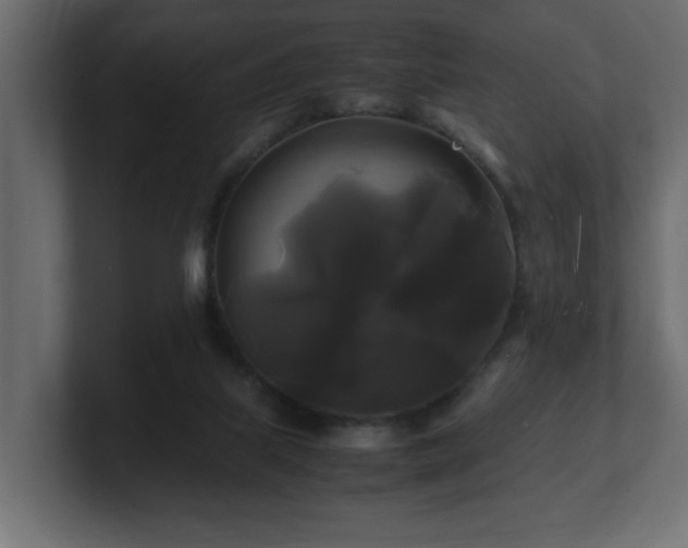 X0000100760067200806261613