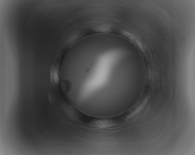 X0000100760069200806261613