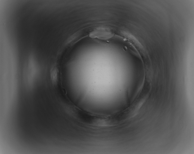 X0000100760071200806261613