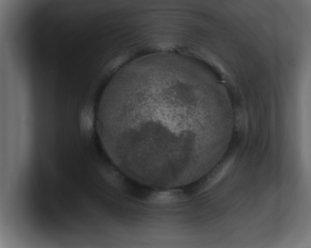 X0000100760072200806261613