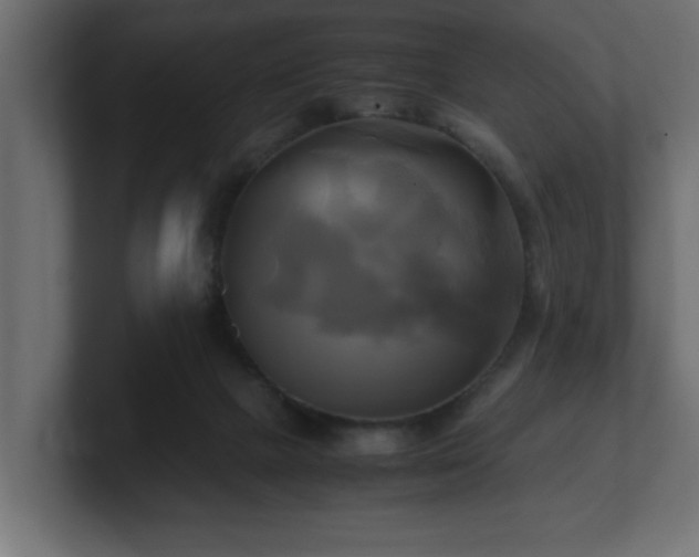 X0000100760073200806261613