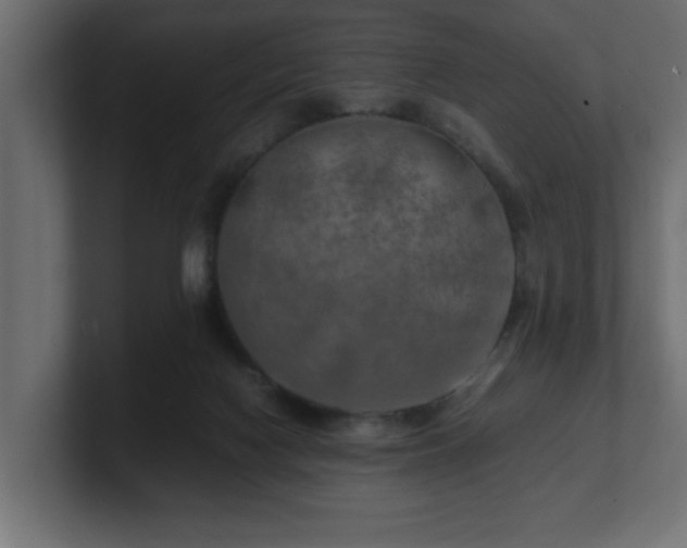 X0000100760074200806261613