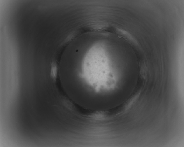 X0000100760076200806261613