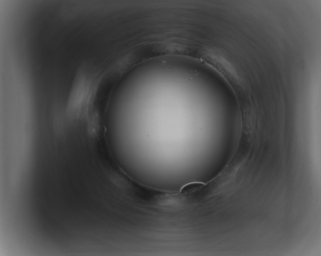 X0000100760077200806261613