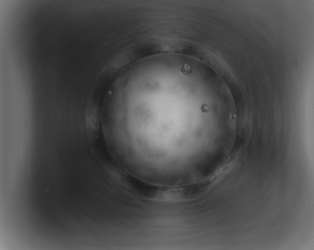 X0000100760078200806261614