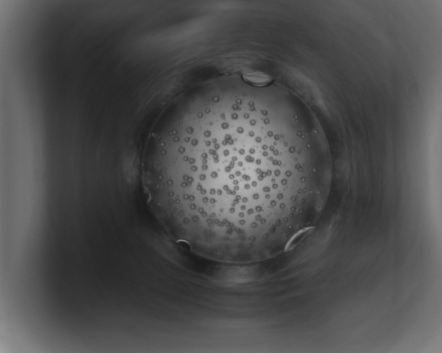 X0000100760081200806261614