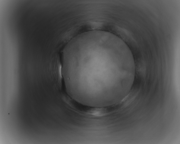 X0000100760082200806261614