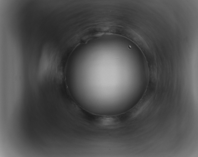 X0000100760085200806261614