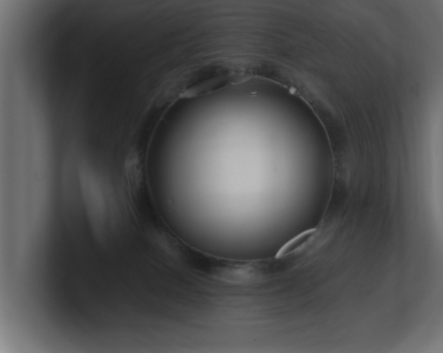 X0000100760086200806261614