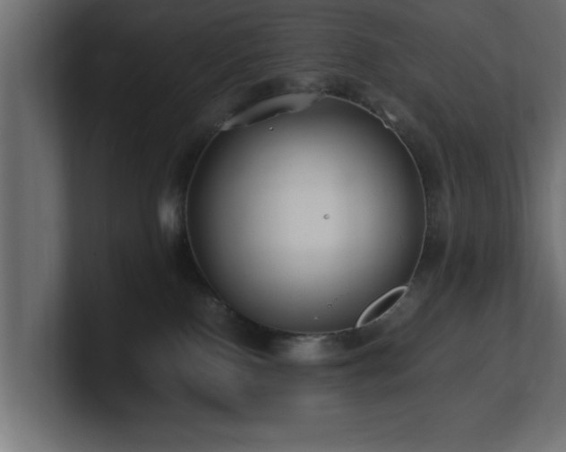 X0000100760090200806261614