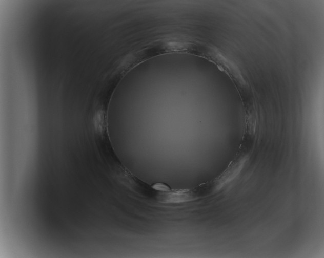 X0000100760093200806261614