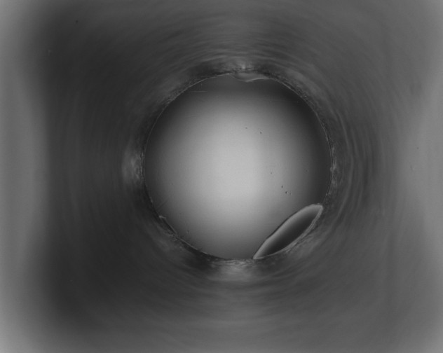 X0000100760096200806261614