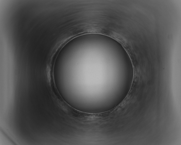 X0000100760098200806261613