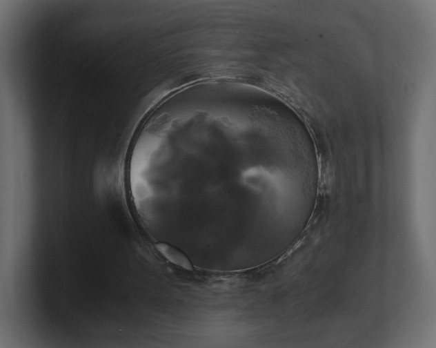 X0000100760099200806261613