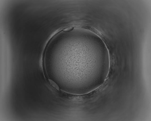 X0000100760100200806261613