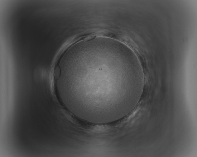 X0000100760101200806261613