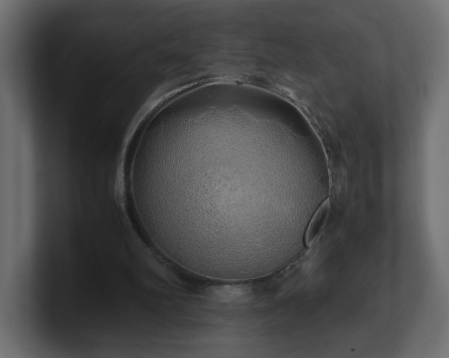 X0000100760102200806261613