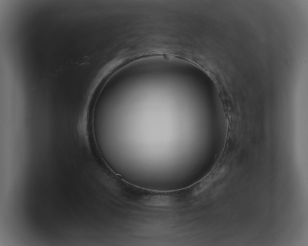 X0000100760104200806261613