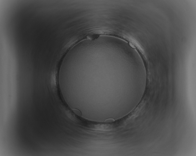 X0000100760105200806261613