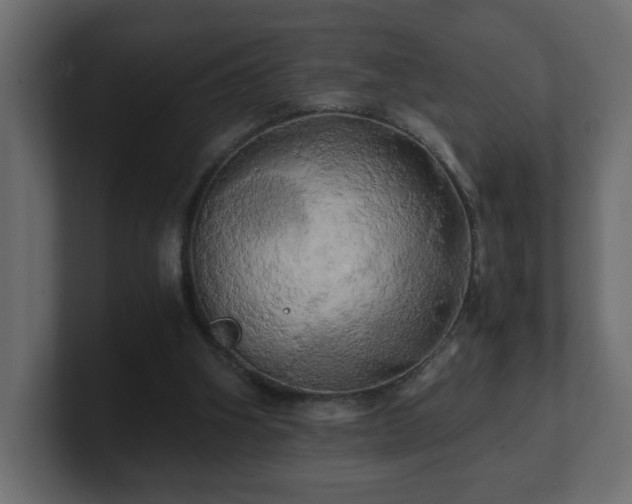 X0000100760106200806261613