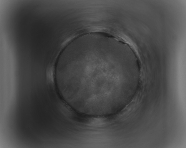 X0000100760107200806261613