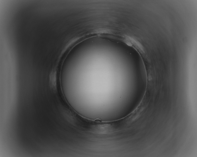 X0000100760108200806261613